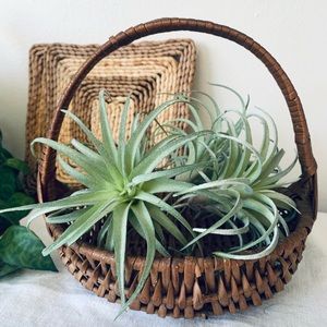 Vintage Foraging/Flower Girl Basket